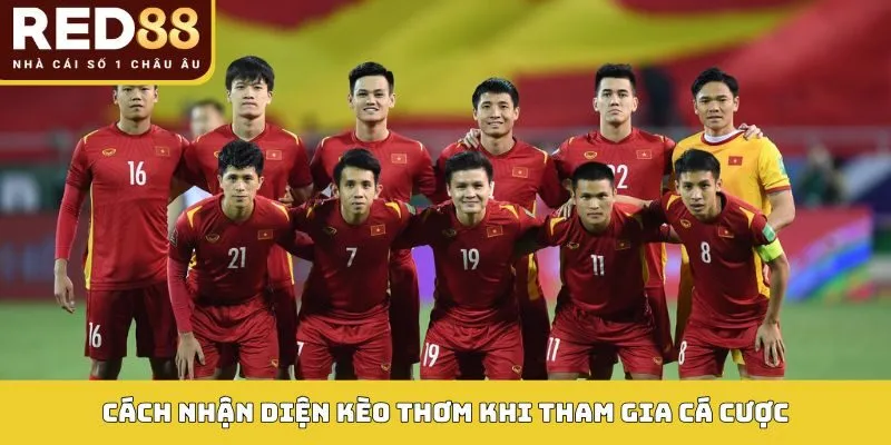 Cách nhận diện kèo thơm khi tham gia cá cược