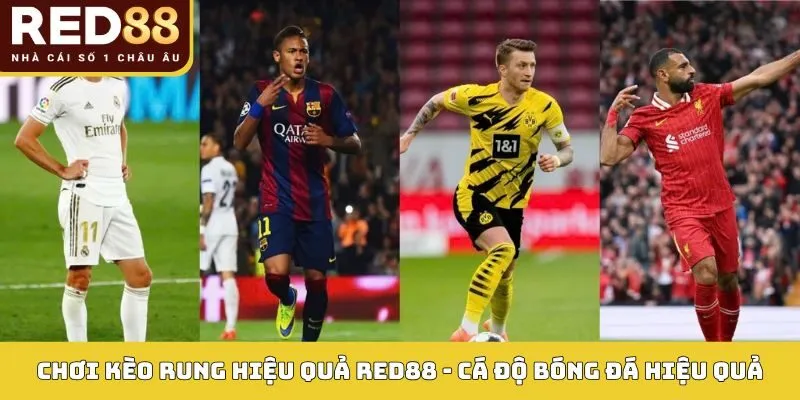 Chơi Kèo Rung Hiệu Quả tại Red88