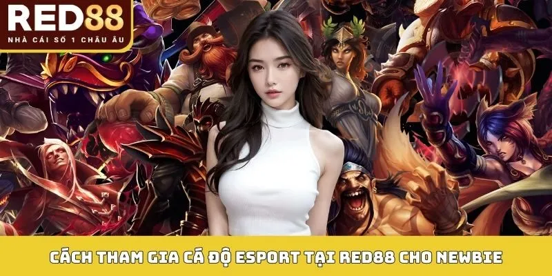 Cách tham gia cá độ Esport tại RED88 cho newbie