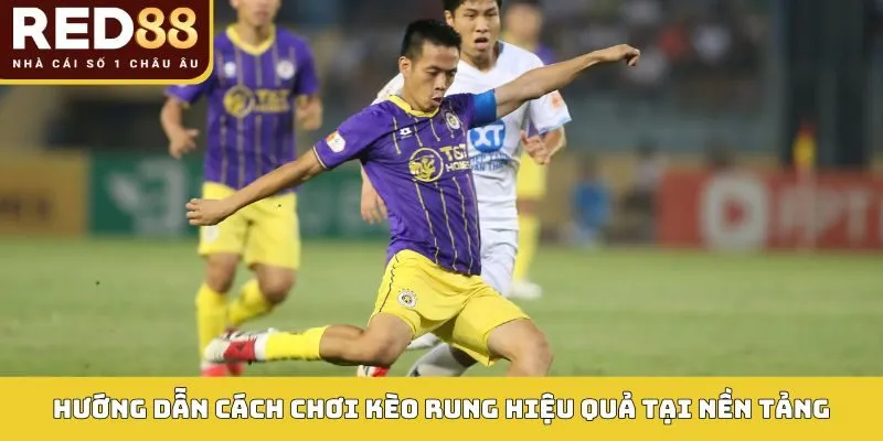 Hướng dẫn cách chơi kèo rung hiệu quả tại nền tảng