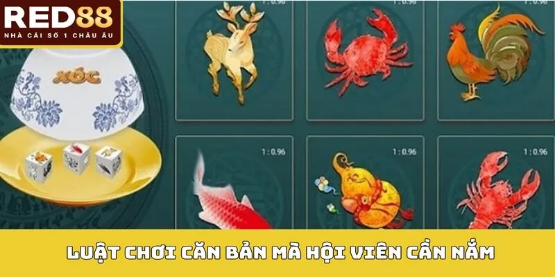 Luật chơi căn bản mà hội viên cần nắm