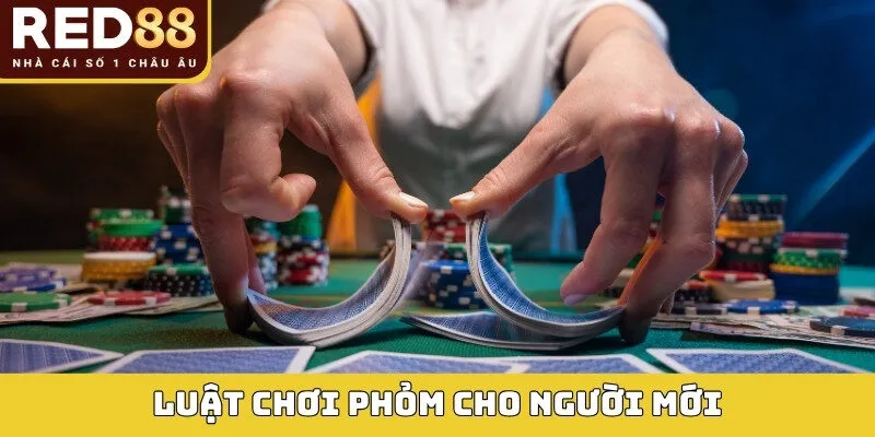 Luật chơi phỏm cho người mới