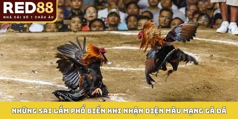 Những sai lầm phổ biến khi nhận diện màu mạng gà đá