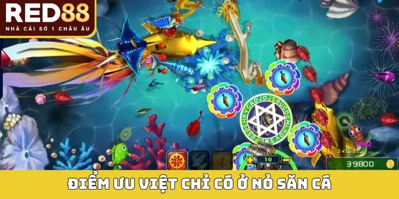 Điểm ưu việt chỉ có ở nỏ săn cá