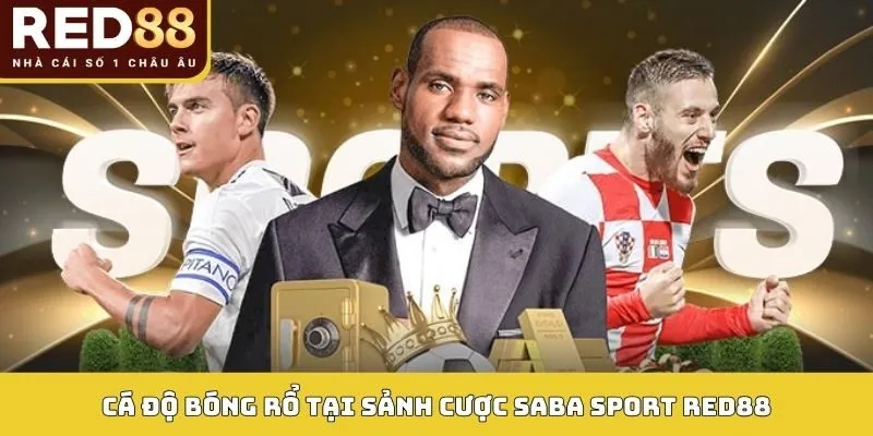 Cá độ bóng rổ tại sảnh cược SABA Sport RED88