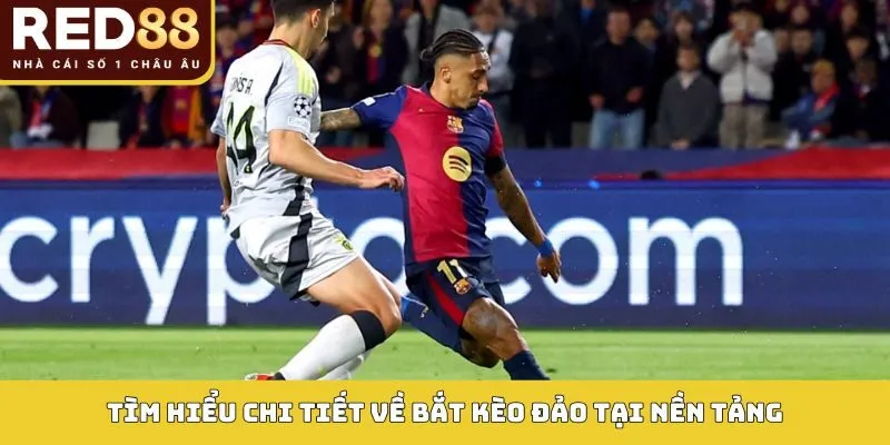 Tìm hiểu chi tiết về bắt kèo đảo tại nền tảng