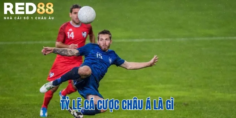 Tỷ lệ cá cược châu Á là gì